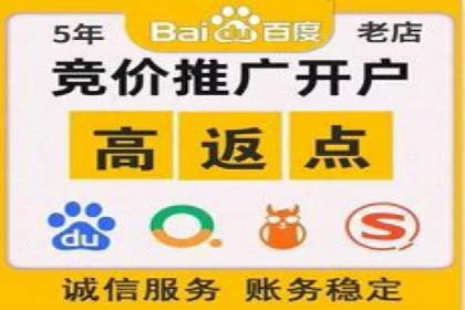 百度竞价竞争分析：实战案例与应对策略